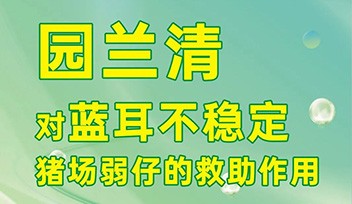 園蘭清對藍(lán)耳不穩(wěn)定豬場弱仔的救助作用！